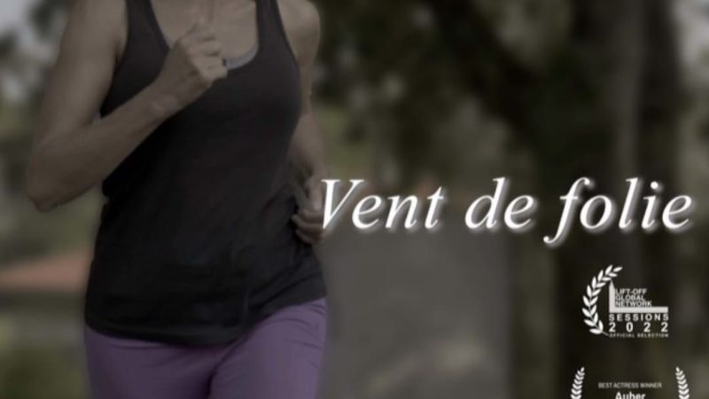 affiche vent de folie